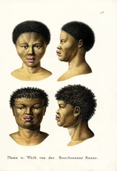 Bosquimanos, 1824